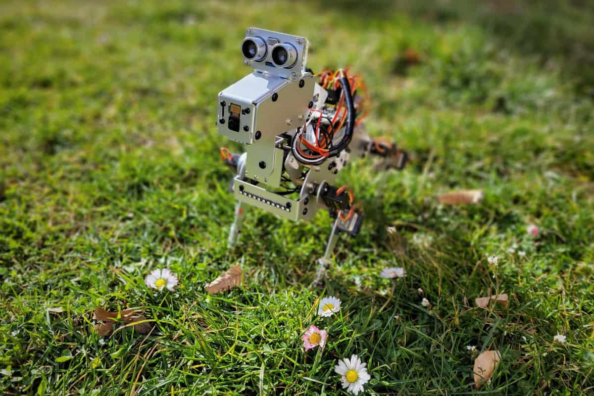 Robot Dog image